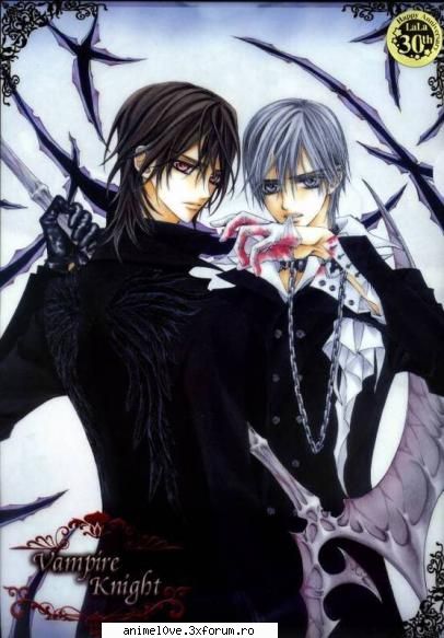 Vampire Knight Gallery - Kaname and Zero - Poze ANIME